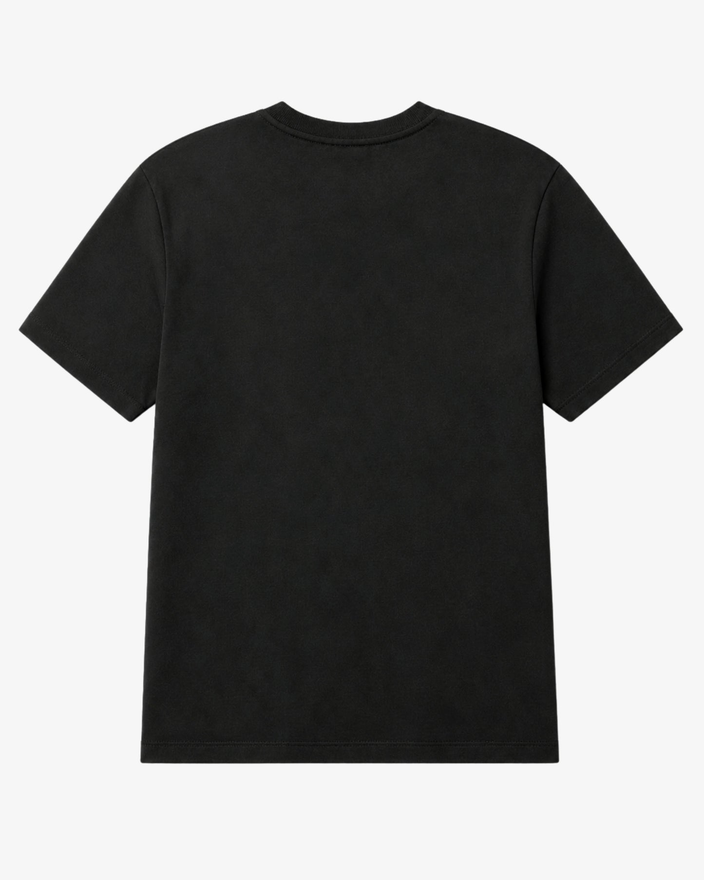 Heavyweight Tee ⅠⅠ - Black